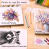 ARTISTIC EYE Sketching Pads 9×12 & Colored Pencils (48 colors) Bundle